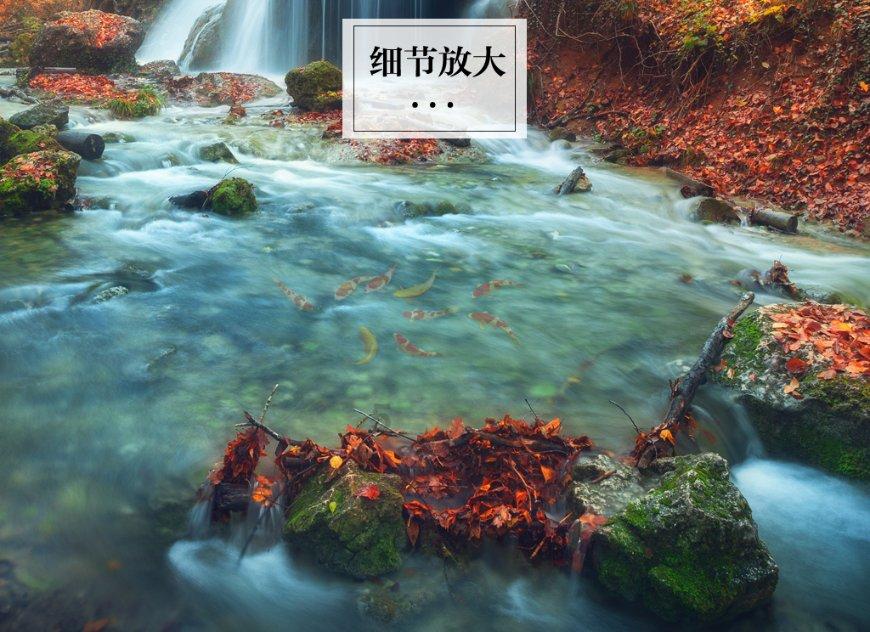 暗黑血统3