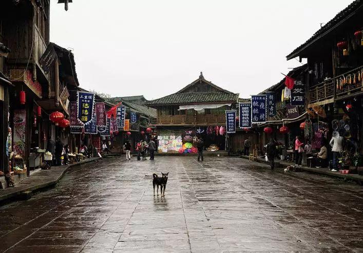 小企鹅逃生